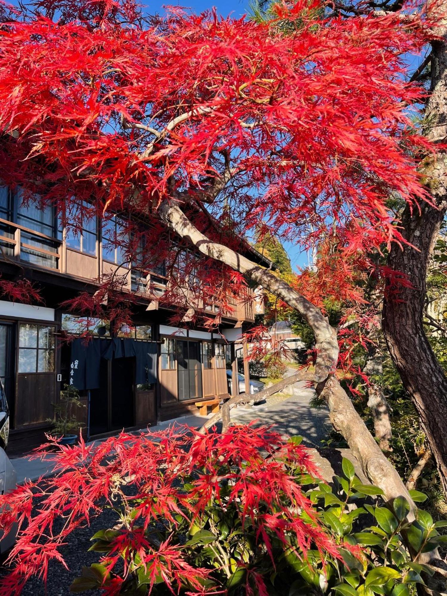 宿屋白金家 Yadoya-Shiroganeya 1日1組限定2名から8名様まで 全館貸切り 伝統的建造物の旅籠宿 Traditional Culture Experience Нагано Екстериор снимка